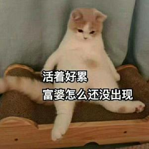 快穿之恶人自有恶人磨
